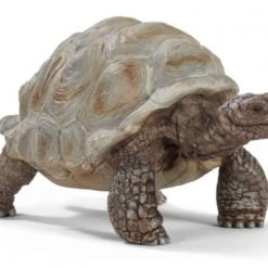 Schleich Giant Tortoise