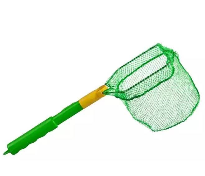 Ranger Butterfly, Creature and Shell Floating Nets - 3 Pack 3 Ranger Butterfly, Creature and Shell Floating Nets - 3 Pack - Image 3