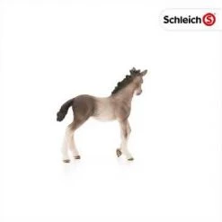 Schleich Andalusian Foal 5 Schleich Andalusian Foal -Toys Elegant shop hqdefault 37 8