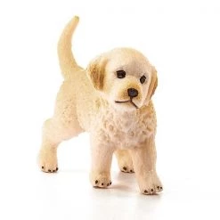 Schelich Golden Retriever Puppy